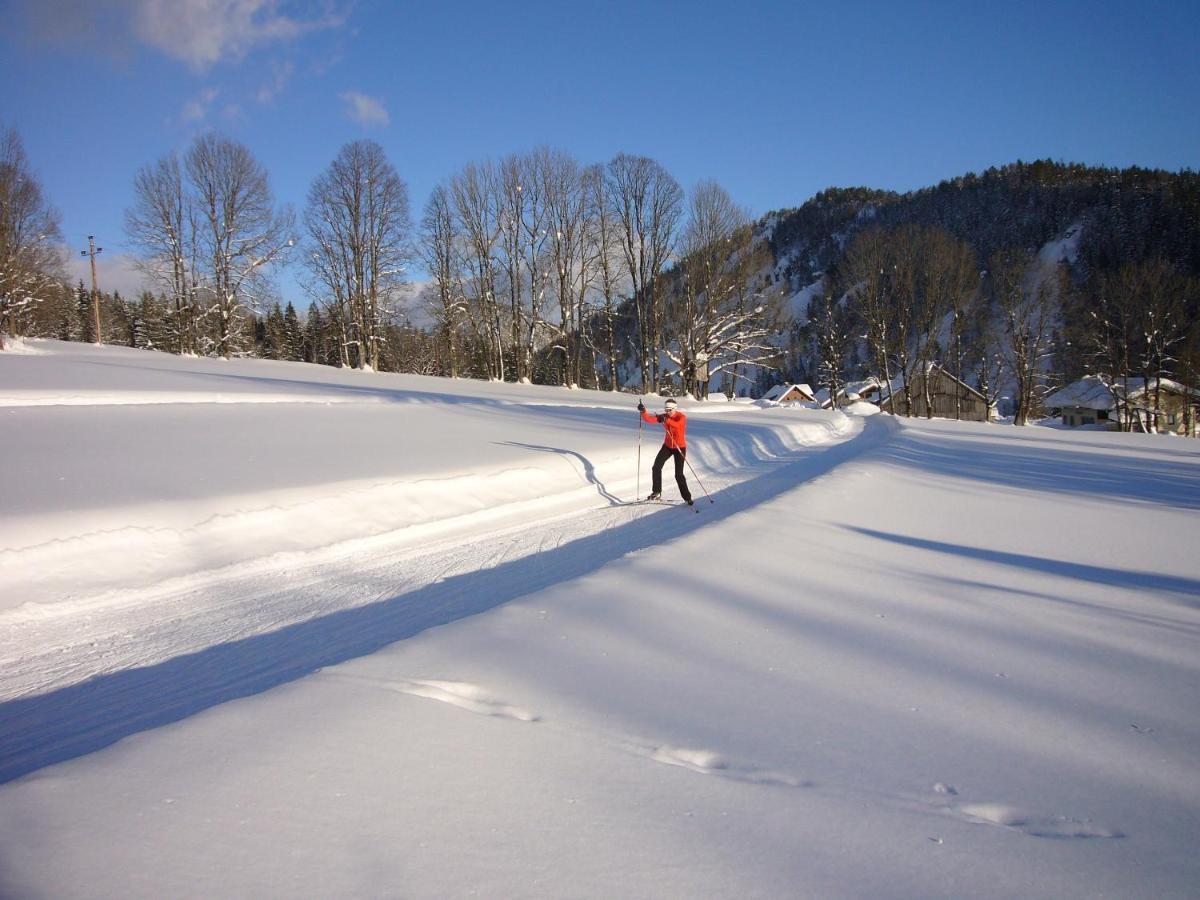 Appartements Wiesbach Ramsau am Dachstein Eksteriør bilde