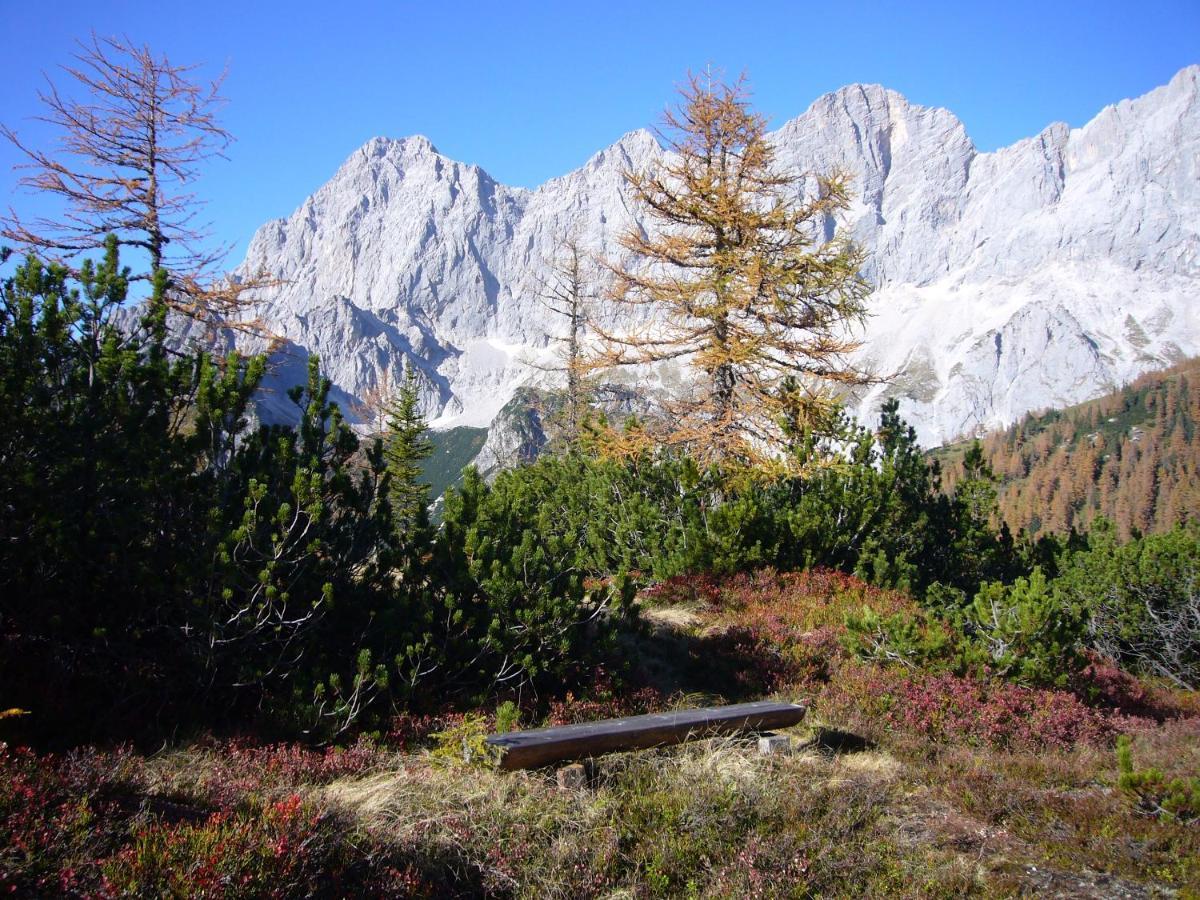 Appartements Wiesbach Ramsau am Dachstein Eksteriør bilde